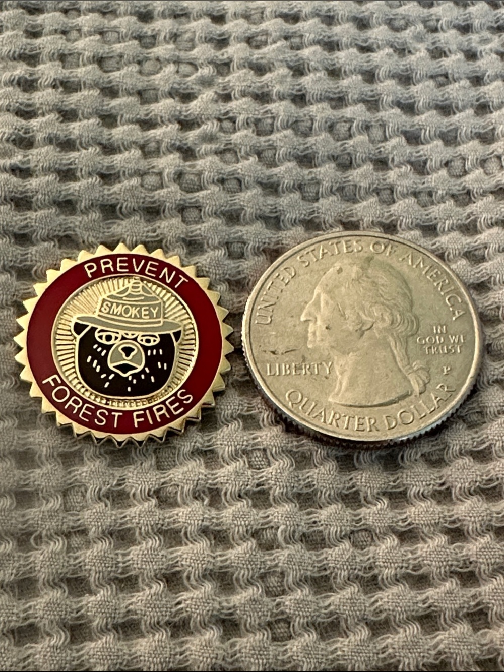 Smokey Bear Prevent Forest Fire Pin - Picture 3 of 3
